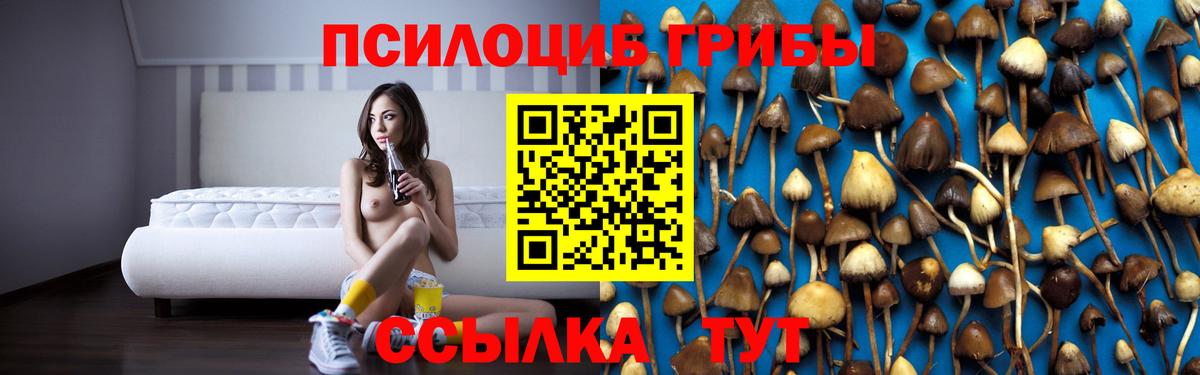 Галлюциногенные грибы мицелий Новочебоксарск